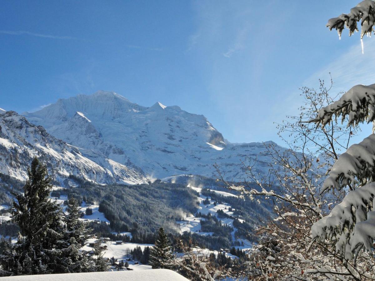 Apartment Rose Studio Y By Interhome Wengen Exterior foto